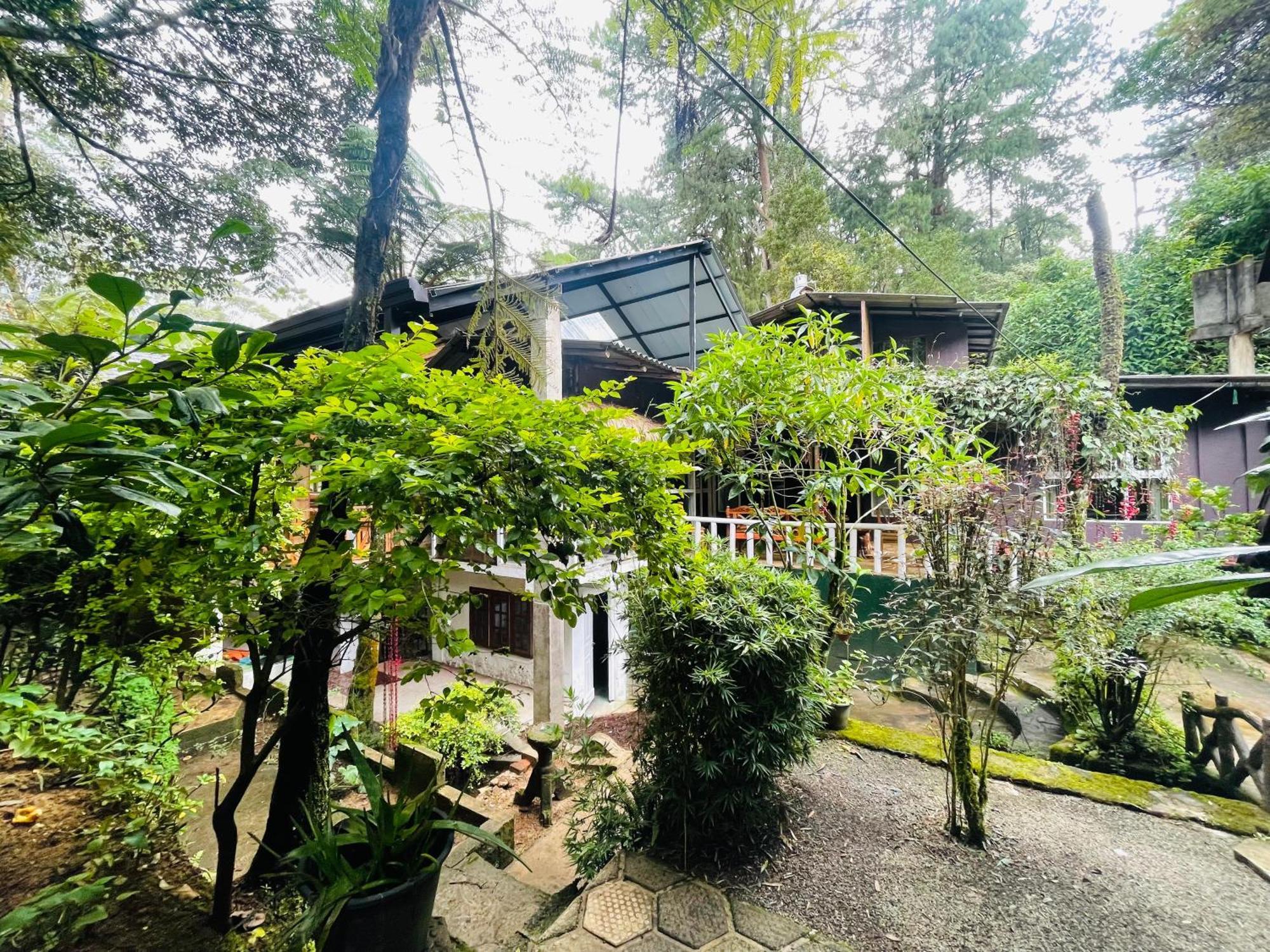 נוארה אליה King Fern Cottage מראה חיצוני תמונה