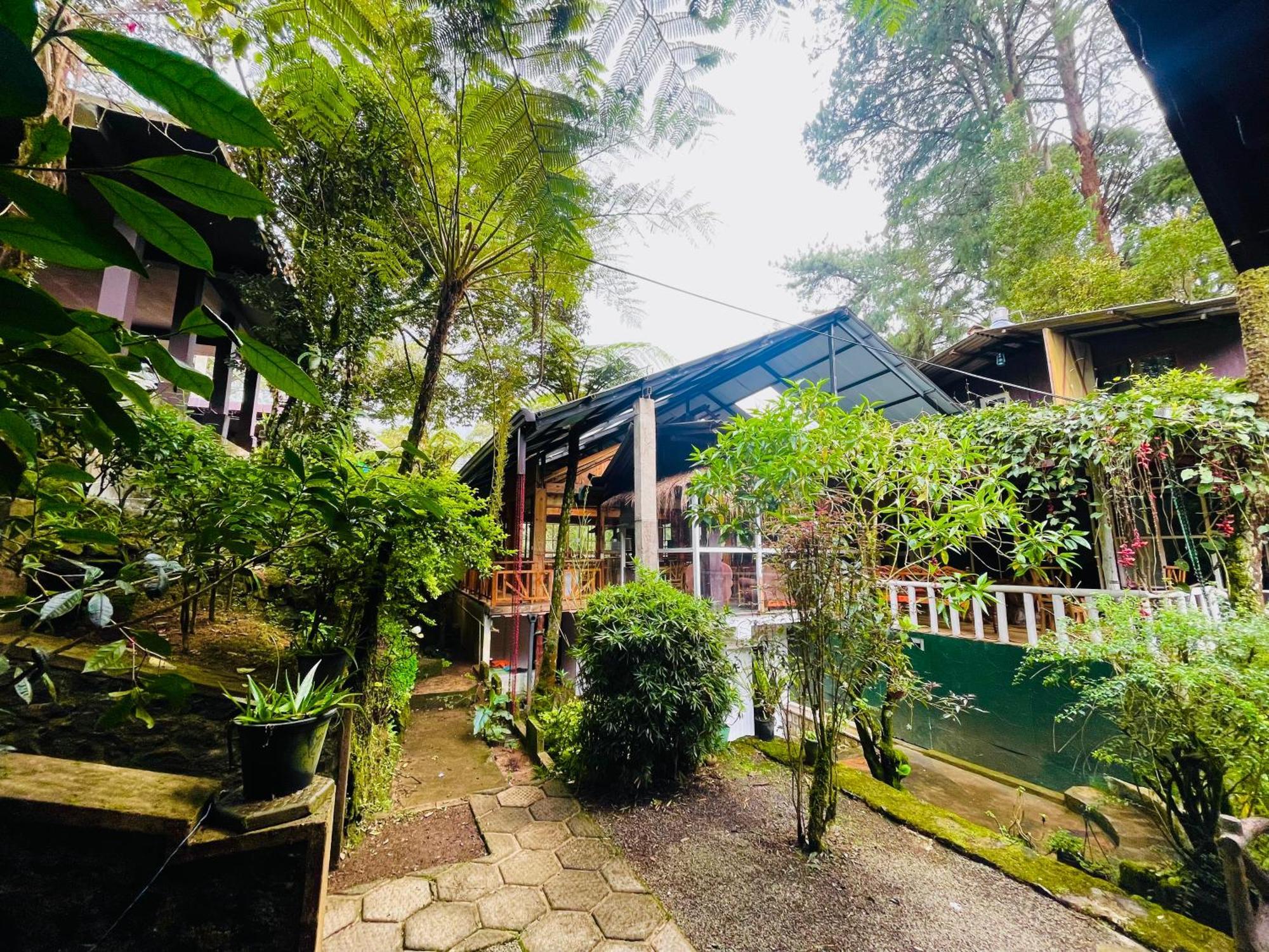 נוארה אליה King Fern Cottage מראה חיצוני תמונה