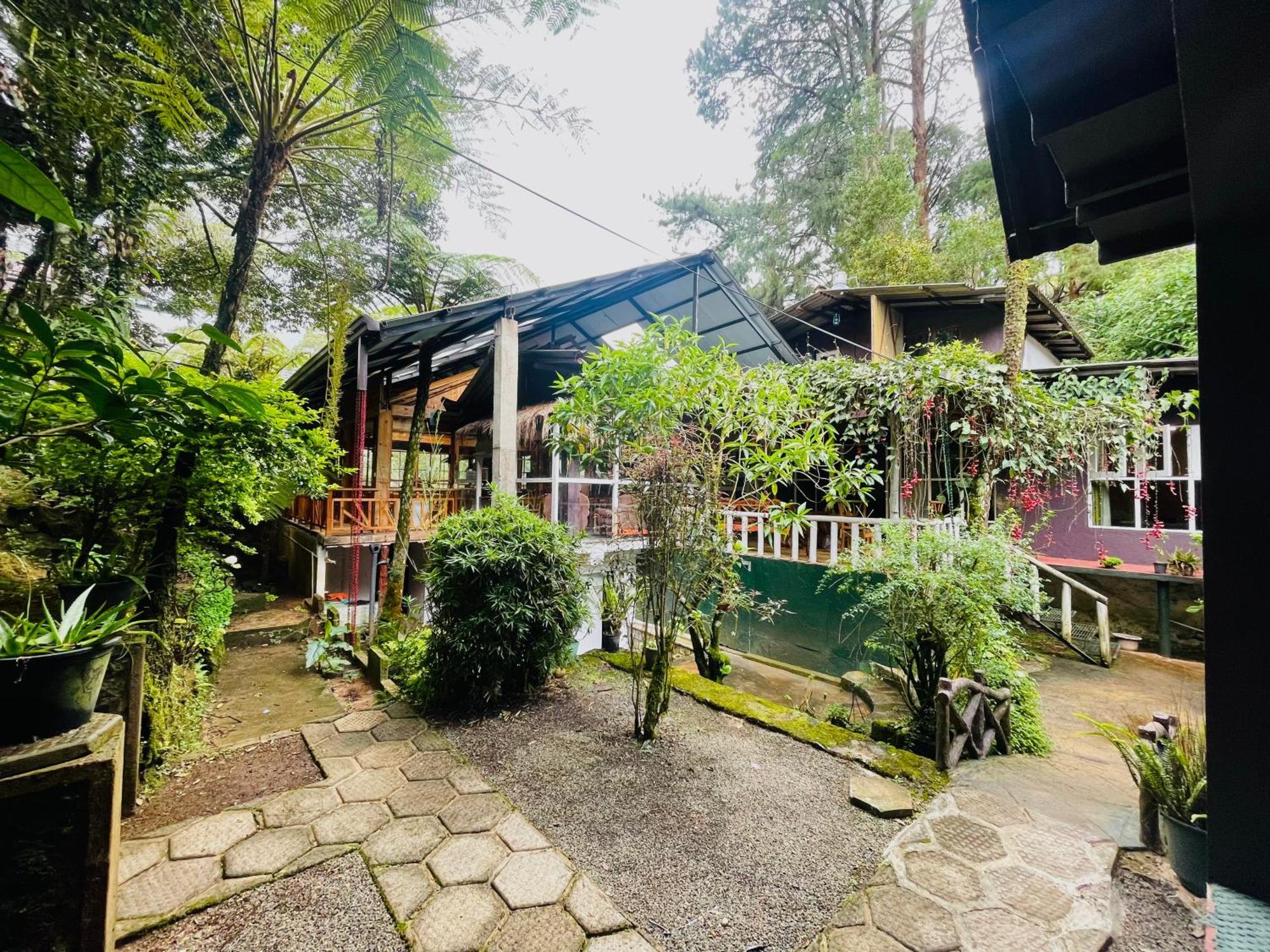נוארה אליה King Fern Cottage מראה חיצוני תמונה