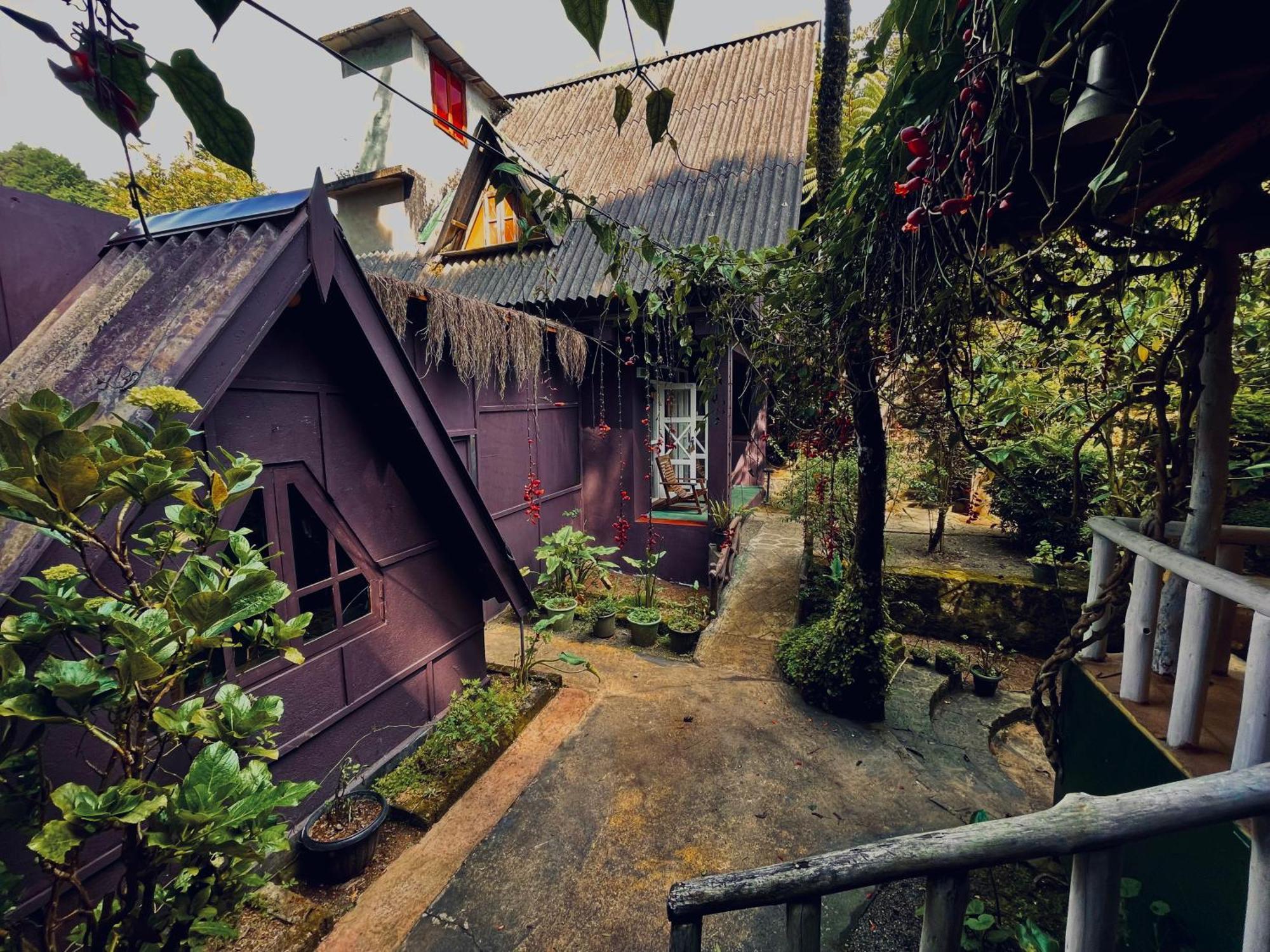 נוארה אליה King Fern Cottage מראה חיצוני תמונה