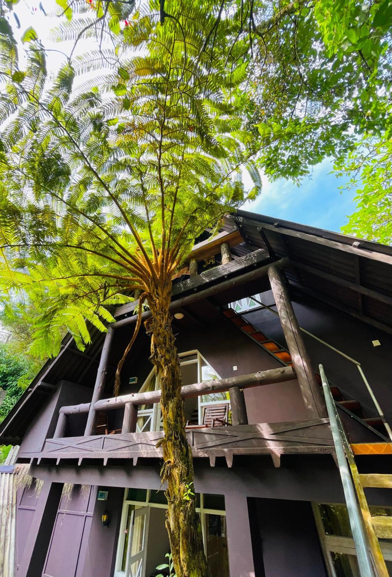 נוארה אליה King Fern Cottage מראה חיצוני תמונה