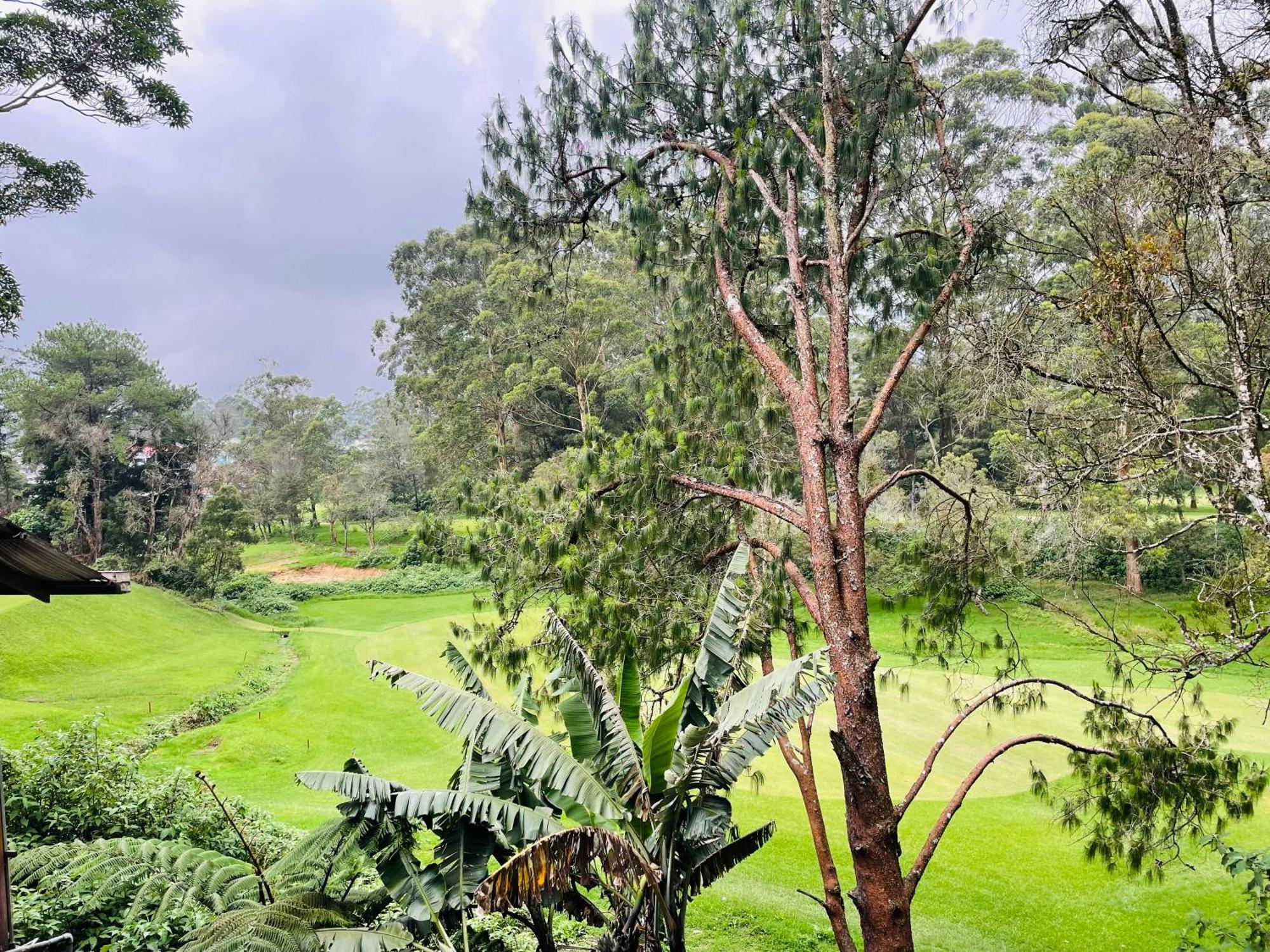 נוארה אליה King Fern Cottage מראה חיצוני תמונה