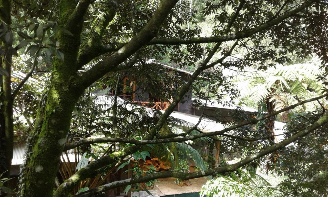 נוארה אליה King Fern Cottage מראה חיצוני תמונה
