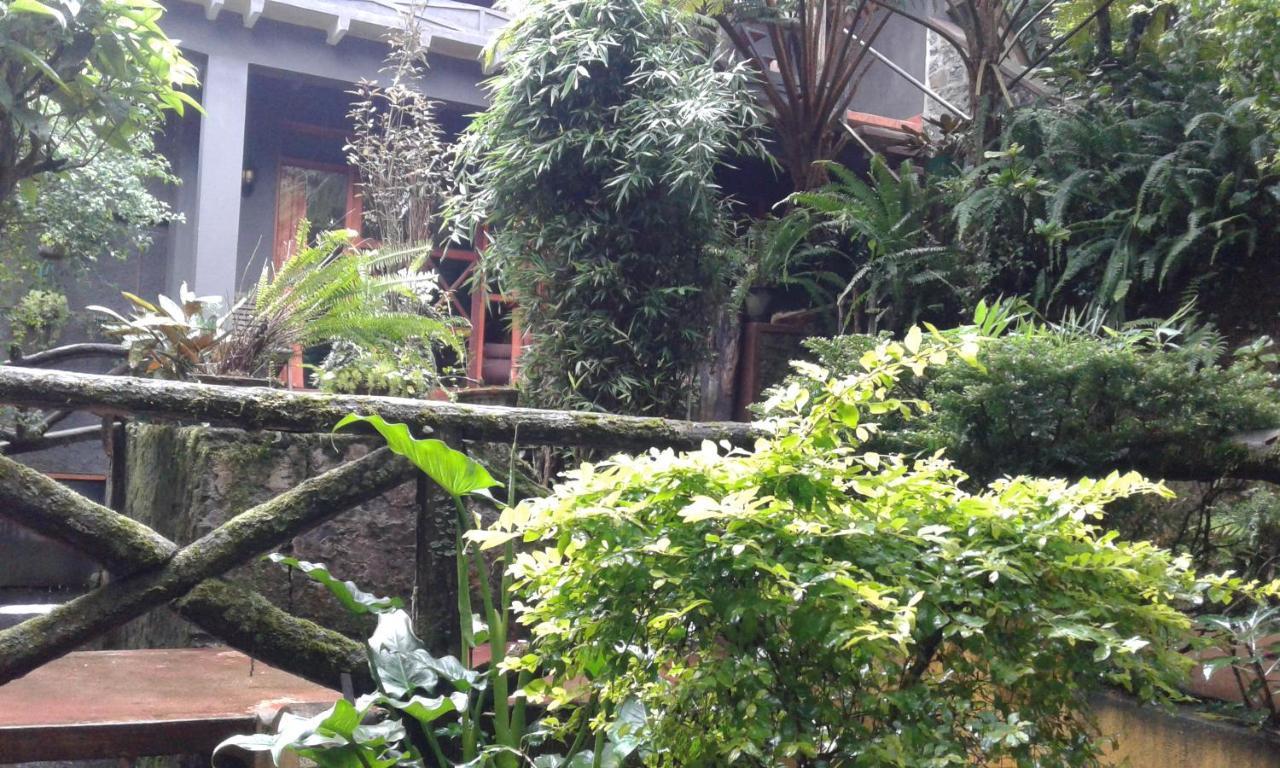 נוארה אליה King Fern Cottage מראה חיצוני תמונה