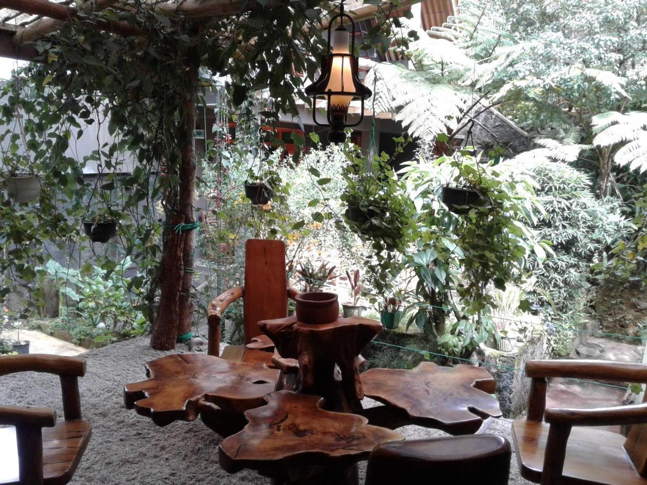 נוארה אליה King Fern Cottage מראה חיצוני תמונה