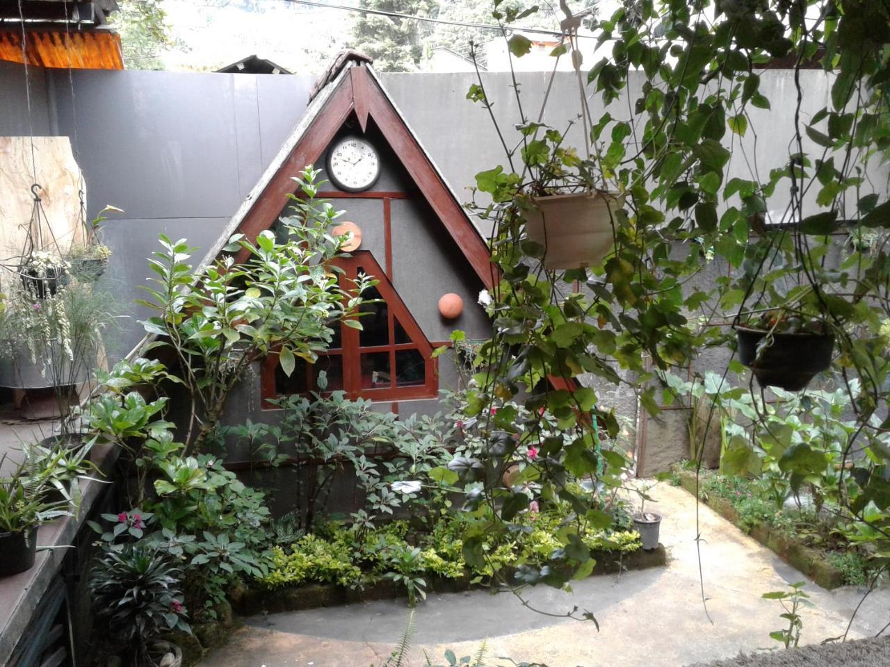 נוארה אליה King Fern Cottage מראה חיצוני תמונה