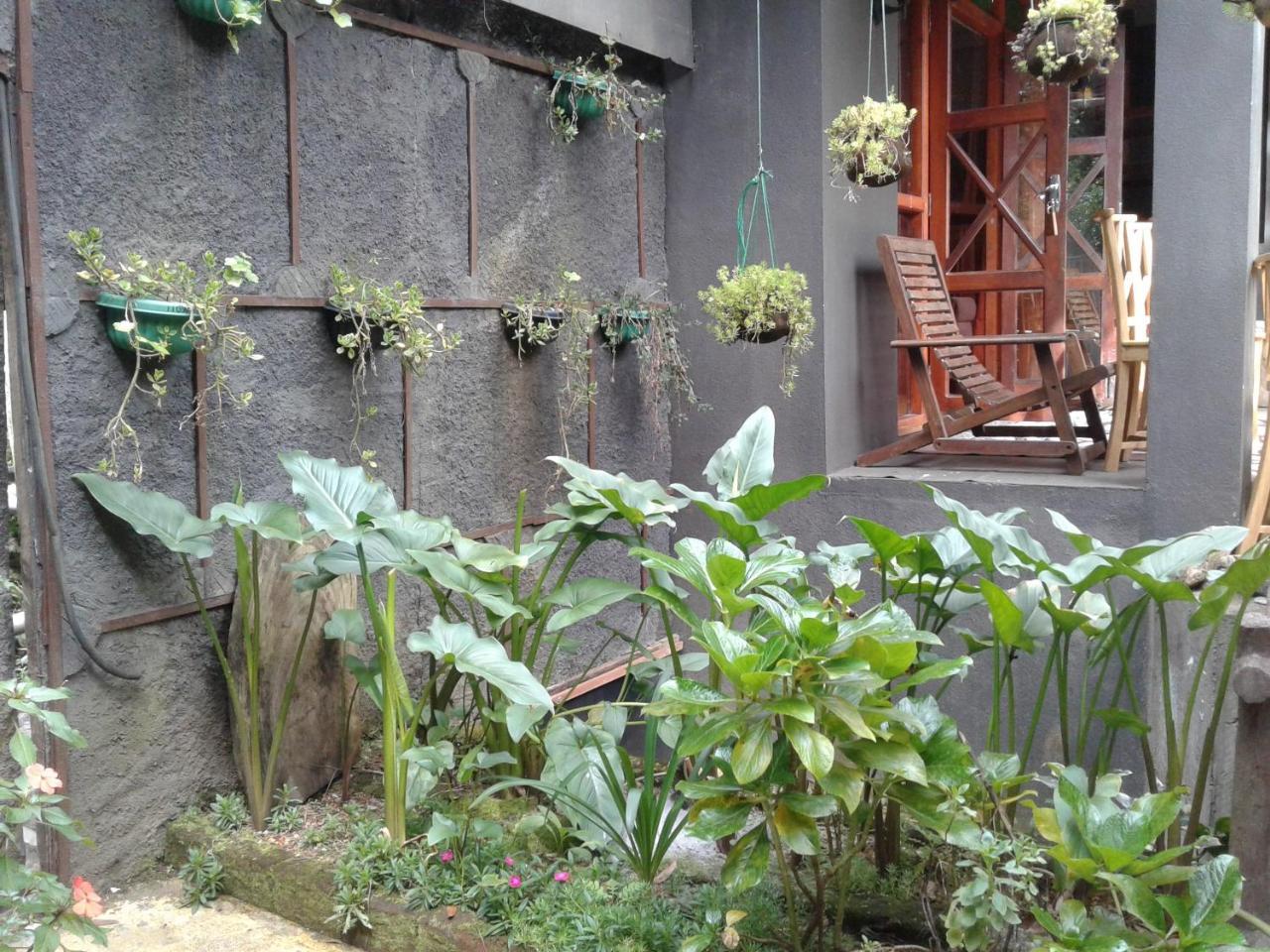 נוארה אליה King Fern Cottage מראה חיצוני תמונה