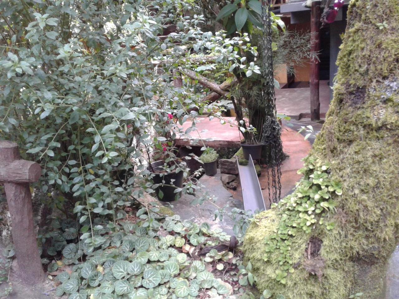 נוארה אליה King Fern Cottage מראה חיצוני תמונה