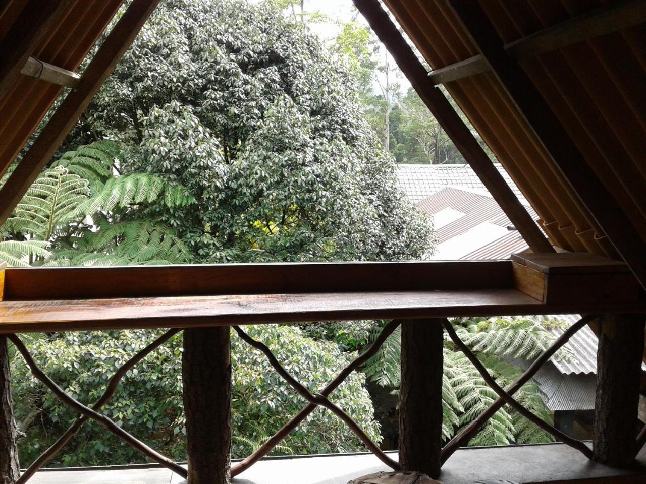 נוארה אליה King Fern Cottage מראה חיצוני תמונה