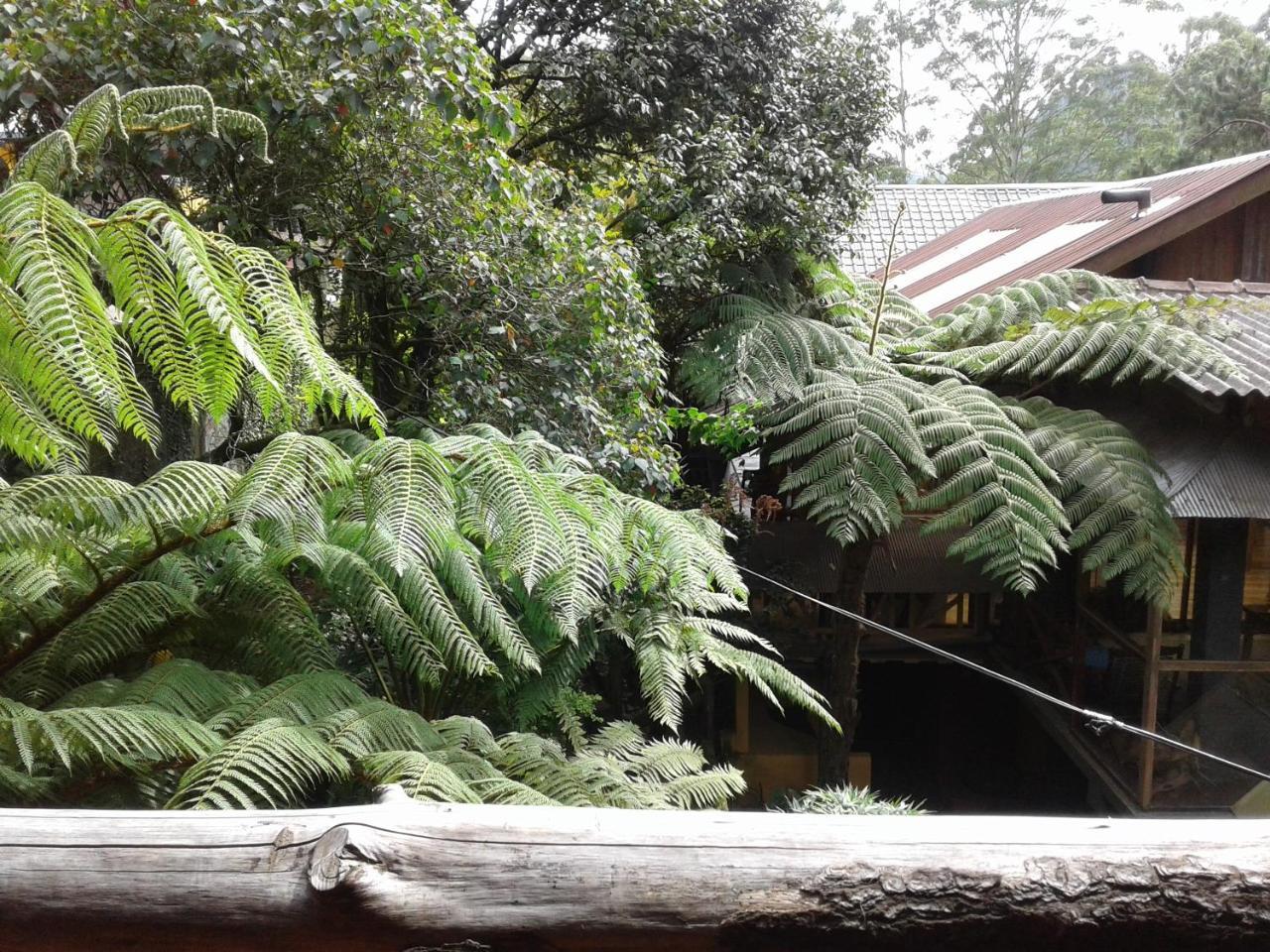 נוארה אליה King Fern Cottage מראה חיצוני תמונה