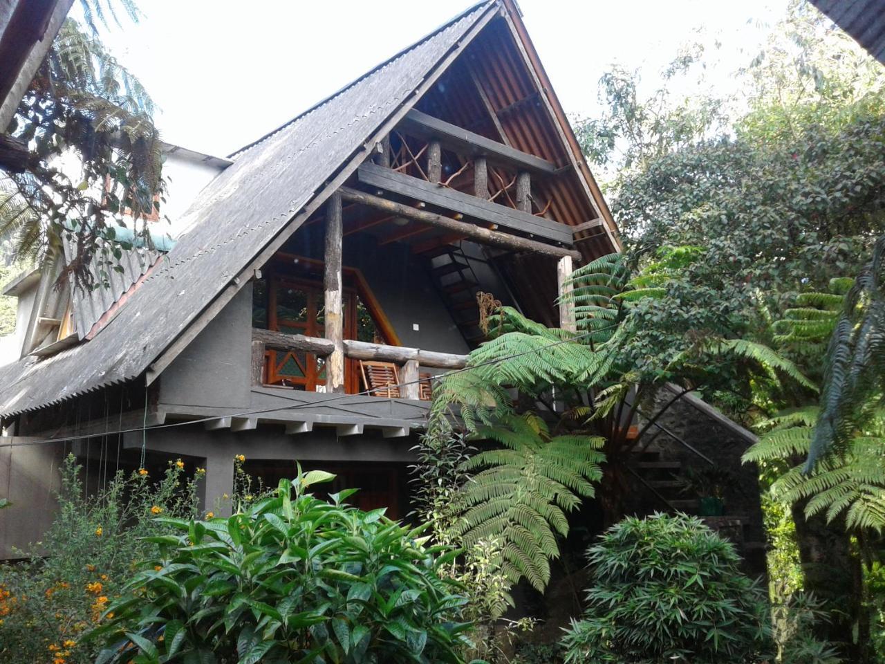 נוארה אליה King Fern Cottage מראה חיצוני תמונה